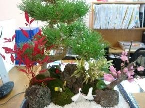 IMG00158.jpg